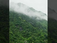 System bezzałogowy DJI FC30 FlyCart 30 produkowany przez MYUAV