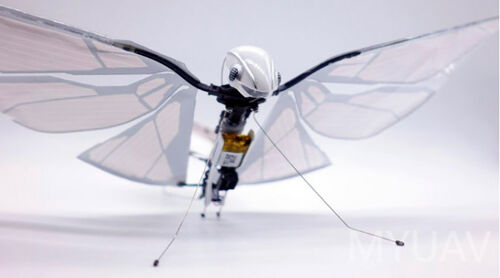 najświeższe informacje o firmie Bioniczna technologia UAV analiza teoretyczna, technologia Flattering Wing UAV szczegółowe wyjaśnienie